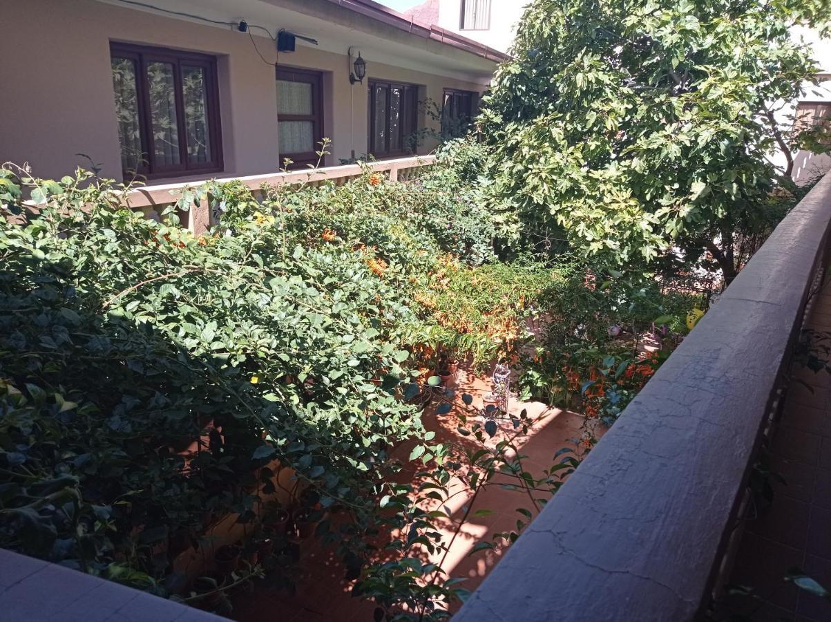 Hostal Aramayo توبيزا المظهر الخارجي الصورة