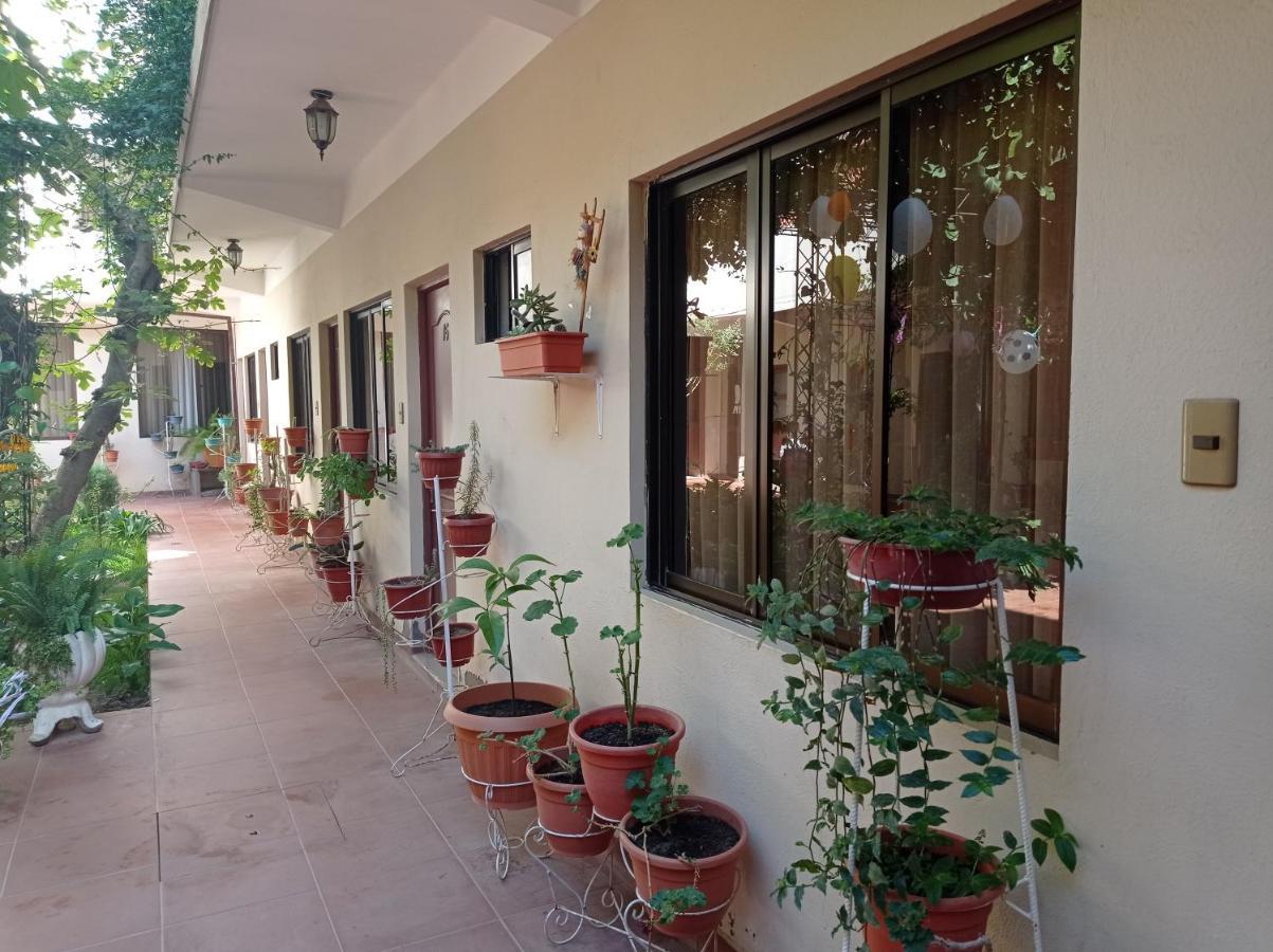 Hostal Aramayo توبيزا المظهر الخارجي الصورة