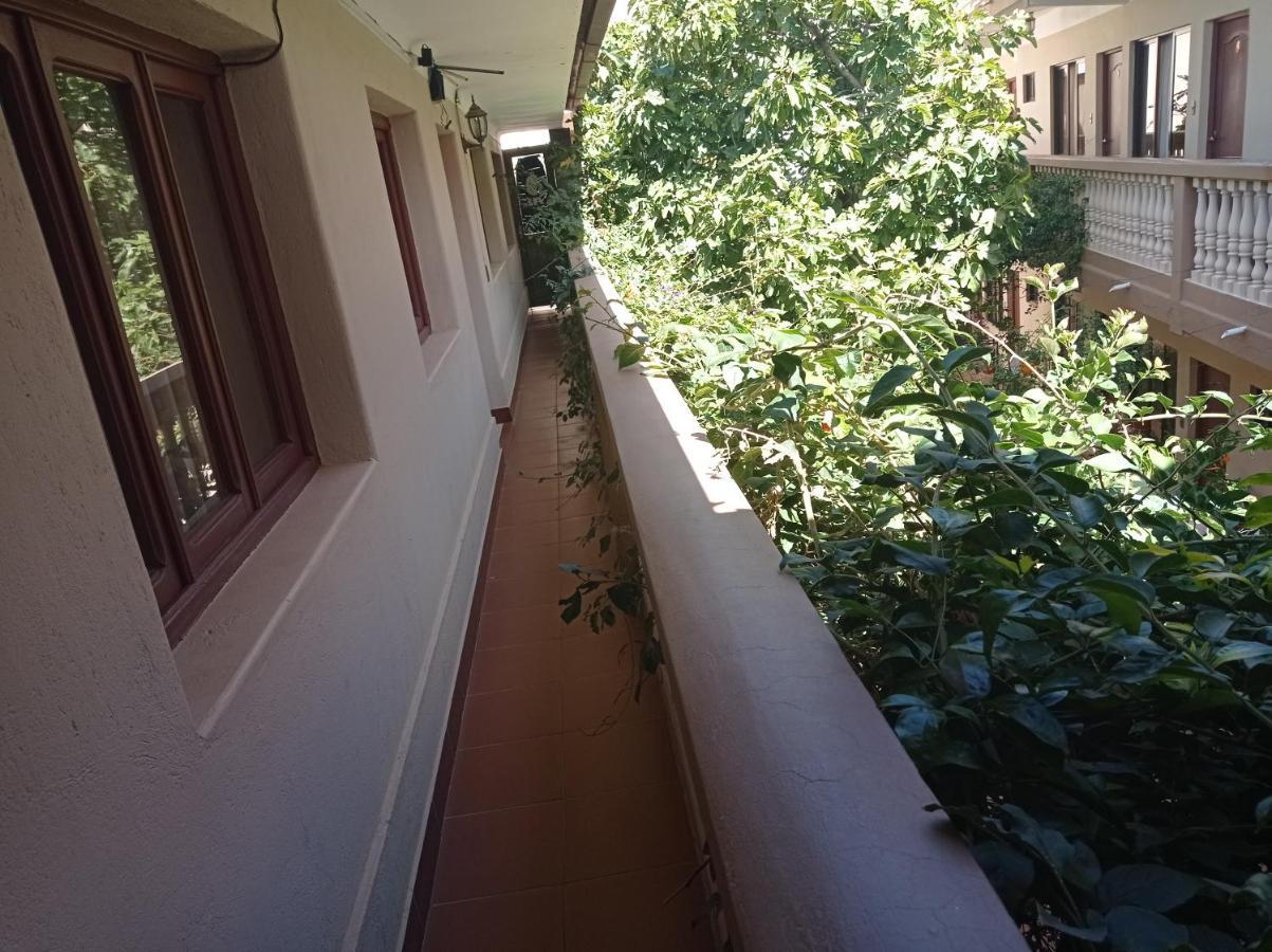 Hostal Aramayo توبيزا المظهر الخارجي الصورة